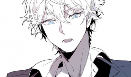 男生的动漫,探寻男生角色的魅力世界